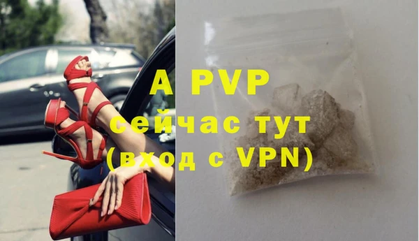 твердый Горняк