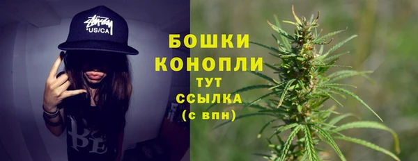 твердый Горняк