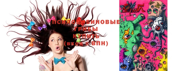 твердый Горняк