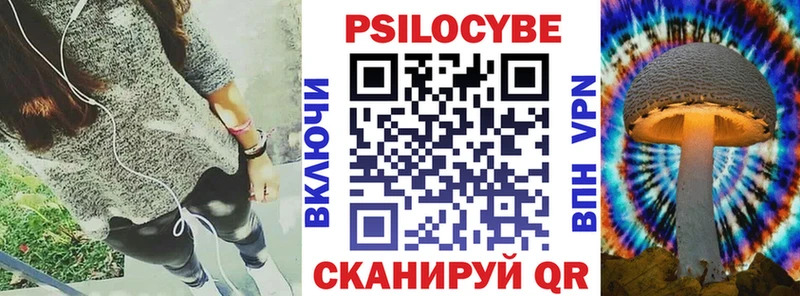 Купить закладки  Алатырь  Псилоцибиновые грибы Psilocybe 